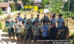 Mahasiswa KKN IAI Sahid dan Petani Desa Tugu Bandung Bersama-sama Tanam Padi Sawah pada Program PAT 2024